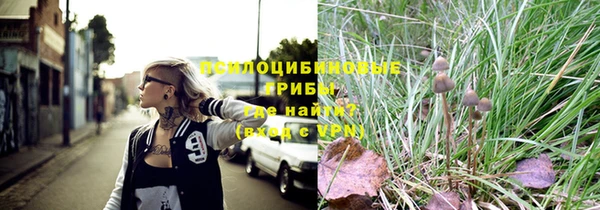 сатива Абаза