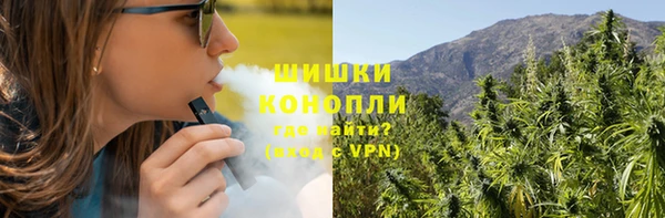 соль ск Алексин