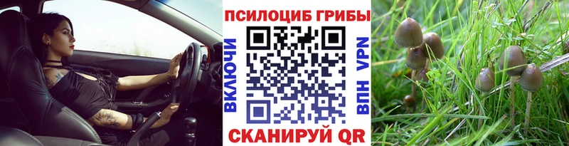 Галлюциногенные грибы MAGIC MUSHROOMS  дарнет шоп  Краснозаводск 